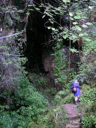 Asplenium cimmeriorum. Typical habitat at entrance to limestone cave. 
 Image: L.R. Perrie © Te Papa CC BY-NC 3.0 NZ